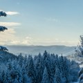 Novo poznanstvo za Škorpiju, Vodolija se udaljava od voljene osobe, ljubavna romansa očekuje ovaj znak