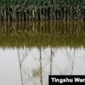 Oko 6.000 ljudi evakuisano zbog pucanja brane u Kini