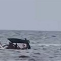 (Видео) Потпонуо брод пун туриста: Ужас код Ровиња: Очевици снимили ужас насред мора, заробљени људи панично дозивали помоћ…