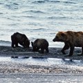 Kupovina ruskih ostrva: Suluda izjava nekompetentnog američkog kadra