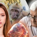 Kako nas varaju prevaranti: Deda kupio kamen koji ispunjava želje za 3.000 dinara, majmunče za "samo" 200 evra