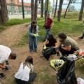 Čišćenjem parka na Pori obeležen Svetski dan zaštite životne sredine