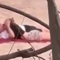 Nemački prostak! Bastijan Švajnštajger uhvaćen kako se "vaćari" sa novom devojkom na sred plaže (video)