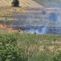 Požar kod Razgojne: Gori rastinje i poljoprivredno zemljište, na terenu vatrogasci i meštani