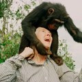 Preminula Džejn Gudal, najpoznatiji svetski primatolog