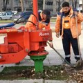 Specijalnom mašinom uklonjeni panjevi na više lokacija u gradu, priprema za sadnju novih stabala