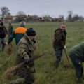 Hiljade sadnica bagrema: U Leskovcu obeležen Međunarodni dan šuma