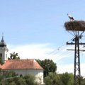 Vino i rakija su spremni spremni za vikend su „Neštinski sokaci“ Čuvaju stare običaje i promoviše domaću proizvodnju (video)…