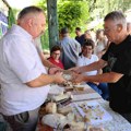 U Guči osnovano Udruženje seoskih sirara Srbije: Evo koji su mu ciljevi i kako će pomagati proizvođačima sira