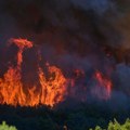 Drama u Kikindi: Izbio požar na obodu grada, vatrogasci se bore sa vatrenom stihijom