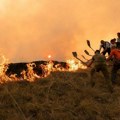 Rusi i EU zajedno gase požar u Deliblatskoj peščari u Srbiji