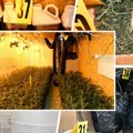 Otkrivena velika laboratorija droge kod Smedereva: Nađeni spid, marihuana i kompletna aparatura za proizvodnju