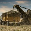 Ekonomija Kube izgrađena na namirnici koju svakodnevno koristimo: Situacija je sada toliko loša, ugrožen i rum