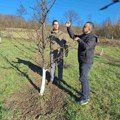 Voćari u ozbiljnim problemima! Mraz obrao kajsiju, malinjaci se krče jer nema berača, preti li nestašica voća