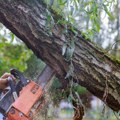 Obaveštenje o planiranom isključenju struje za 29. oktobar (sreda)