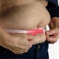 Otkriven ključni metabolički prekidač za sagorevanje masti