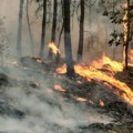 Šumski požar kod Barselone unutar prirodnog parka