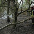 Čaušić: U Srbiji aktivno 12 požara, prvi put bez žarišta u Deliblatskoj peščari