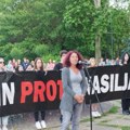 Novi optimizam: Najavljena javna rasprava u slučaju zrenjaniske profesorke Senke Jankov