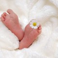 Lepa vest iz Betanije: Za jedan dan rođeno 19 beba, više dečaka