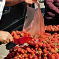Konačno klizi cena jagoda: U ovom gradu niže za čak 100 dinara, a ponuda i dalje jako dobra