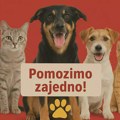 Ljubitelji životinja i prirode “Zelene šape” organizuju humanitarnu žurku za napuštene pse i mačke u Zrenjaninu Ljubitelji…