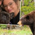 Malena Kasi herojskog srca: ženka francuskog buldoga spasla vlasnike od krvoločne zveri