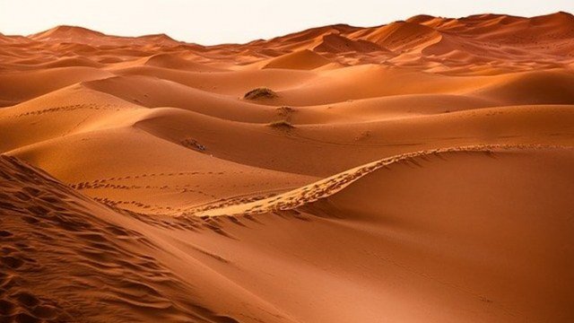 Pustinja Sahara bila močvara prepuna najstrahovitijih dinosaurusa - Naslovi.net