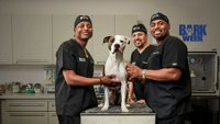 Život veterinara