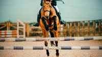 Konjički sport: Svetski tur šampiona - Meksiko Siti