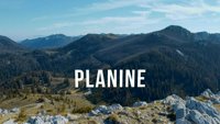 Planine