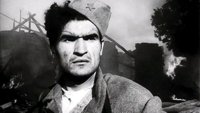 Николетина Бурсаћ