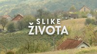 Slike života