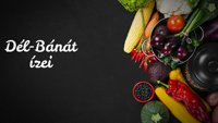 Ukusi južnog Banata