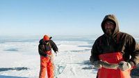 Vikinzi na ledu