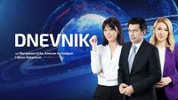 Dnevnik