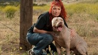 Pitbul terijeri i bivši zatvorenici