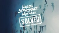 Najveće misterije prirode: Rešeno