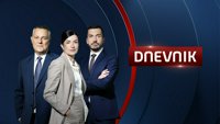 Dnevnik