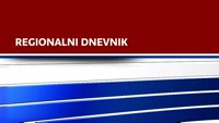Regionalni dnevnik