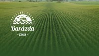 Барáзда