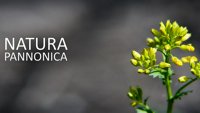 Natura Pannonica