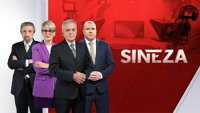 Sinteza