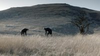 Između dana i noći