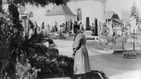Adolf Hitler - razotkrivanje diktatora