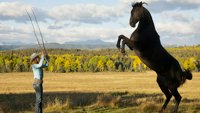Heartland