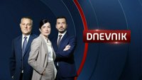 Dnevnik