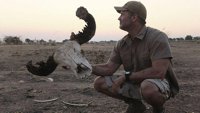 Predatori izbliza s Džoelom Lambertom