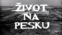 Живот на песку