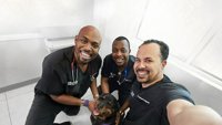 Život veterinara: Bonus priče